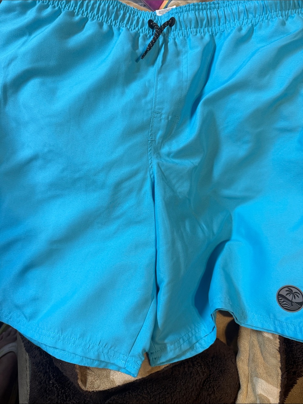 Boys Bright Blue Swim Trunks with Elastic Waist